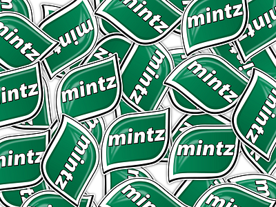 Mintz branding design graphic design logo design