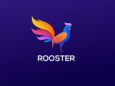 Rooster colorful book