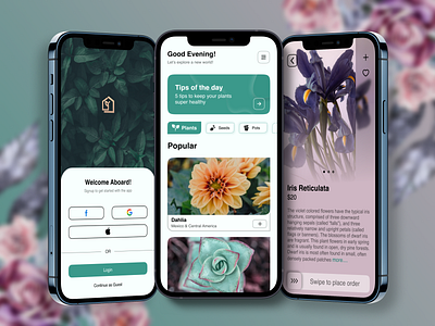 Plants App UI Design Concept