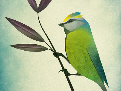 A Little Birdy Told Me Copy bird digital illustration nature