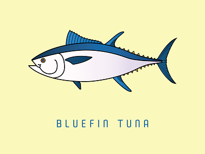 Bluefin Tuna bluefin fish fishing illustration ocean print sea series tuna vector