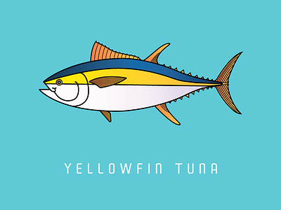Yellowfin Tuna fish fishing illustration ocean outdoor print sea series tuna vector yellowfin