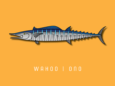 Wahoo | Ono || Part 6 of my fish series. coastal fins fish fishing ono print series stripes teeth vector wahoo