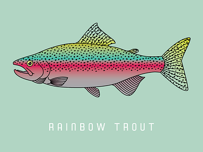 Rainbow Trout bait fins fish fishing lake oregon print rainbow series trout vector