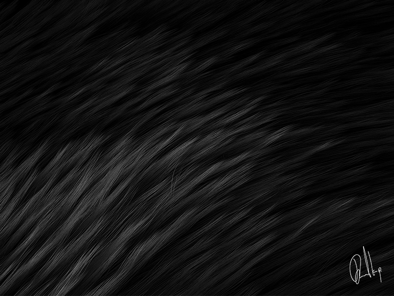 2# Dark series, Africa africa animal black c4d dark desktop fur grass hair series typography wallpaper