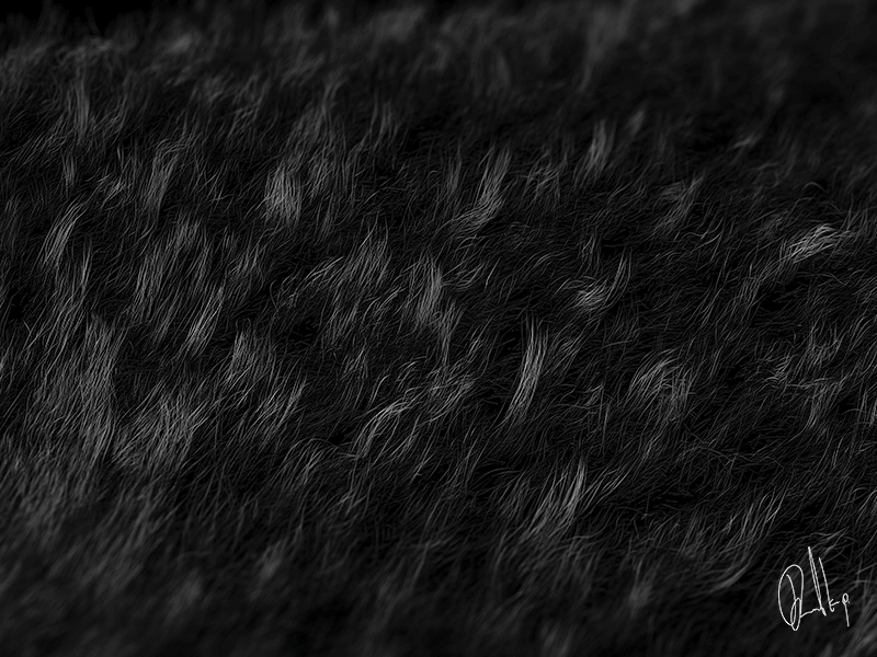 2# Dark series, Africa second version africa animal black c4d dark desktop fur grass hair series typography wallpaper