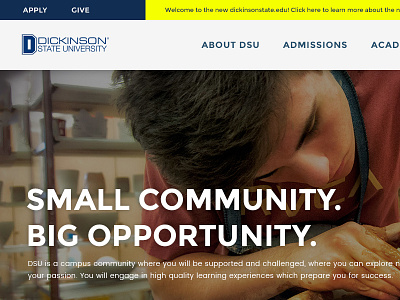 State University Website Design