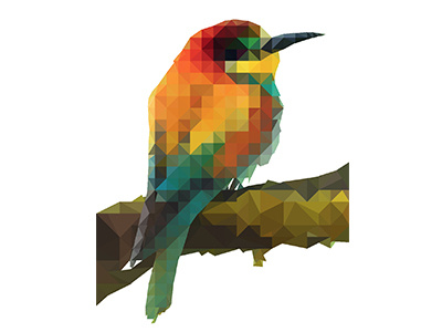 Kingfisher Low Poly colorful kingfisher low poly polygon