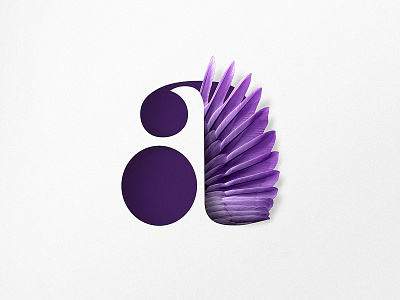 A a appicon feathers icon purple shopify sleek