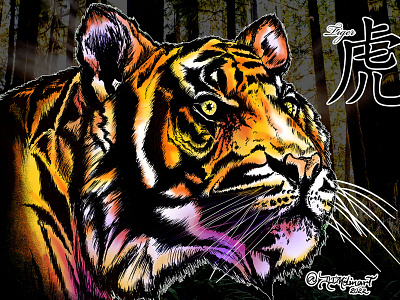 year tiger 3 design graphic design illustration illustration agency pencil portrait realitic tiger zodiac