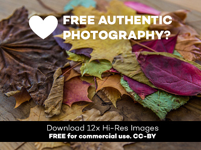 Download SET 30: 12x FREE Hi-Res authentic unstock photos