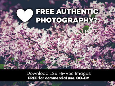 Download SET 52: 12x FREE Hi-Res authentic unstock photos