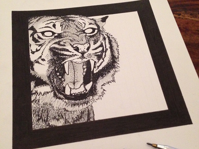 a tiger animal black ink paper sketch tiger white