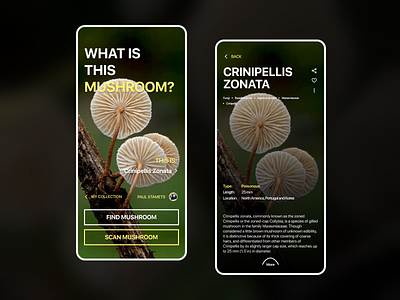 What is this mushroom? app design mobile mushroom ui ux