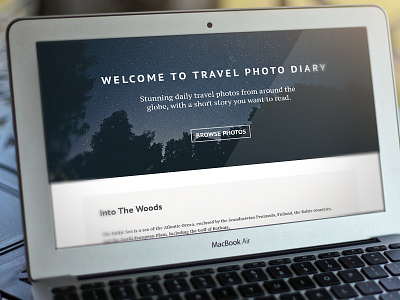 Photo Diary Tumblr Theme blog elegant portfolio template theme tumblr web