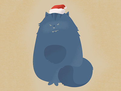 My cat don’t like Christmas holidays and hats ;)