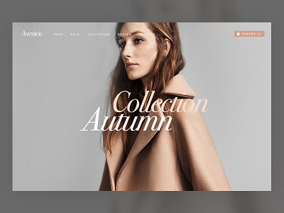 Avenieu branding commerce ecommerce ui ux web