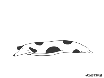 GIF: Rolling Dog animal animated gif animation black and white dog gif roll sleep