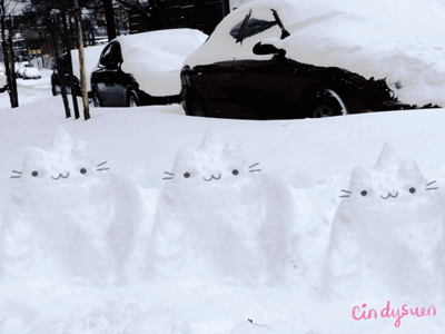 GIF: NYC blizzard snow cats! animals animated gif animation blizzard cat cinematography gif nyc photo snow snowman