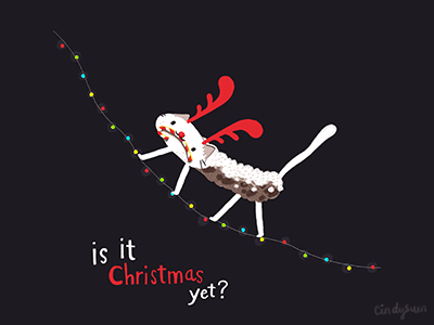 Is it Christmas yet?!?! candy cane cat christmas gif reindeer