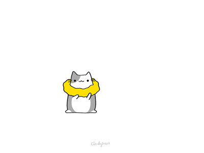 Peek-a-Quack bird boo cat duck gif hi peekaboo