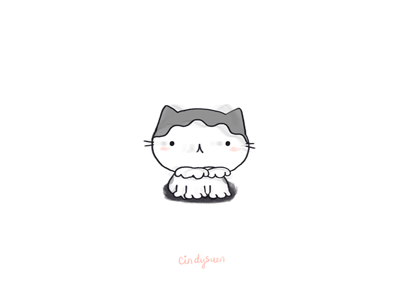 Spin spin spin animation cat gif grey spin