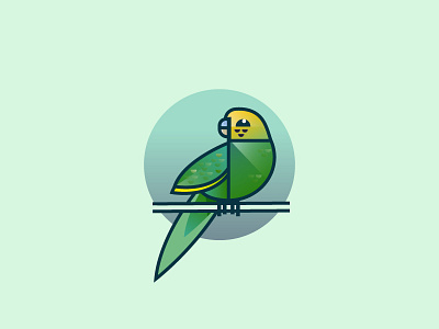 'Budgerigar' Challenge 142/365 bird budgerigar design flat graphic icon illustration modern vector