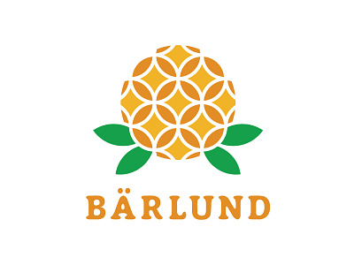 Bärlund logo berry flower fruit illustration jam juice leaf logo plant vegetables