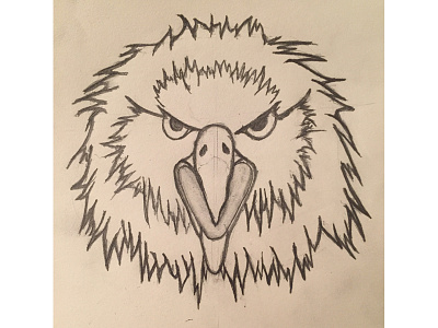 Eagle Concept Sketch americans eagle hockey nhl redesign sketch