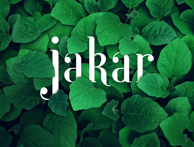 Jakar Logo branding design graphic illustration logo mockup
