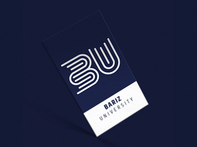 Bariz University Logo aplication app art branding design graphic icon ios logo mockup ui