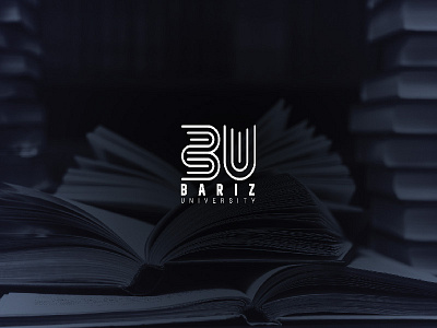 Bariz University Logo