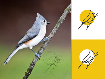 BIRD logo concept animal bird design golden ratio logo graphic design icon illustration lineart logo minimal symbol vector