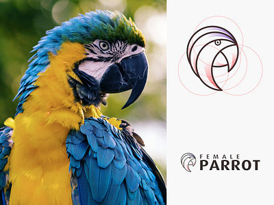 FEMALE PARROT logo