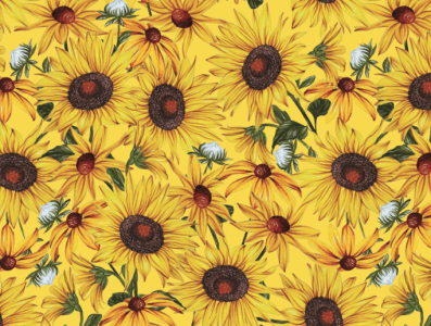 Sunflower design illustration pattern print