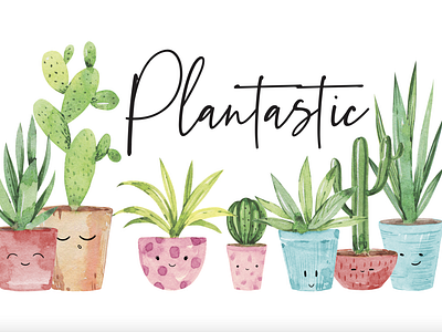 Plant Lady Illustrations