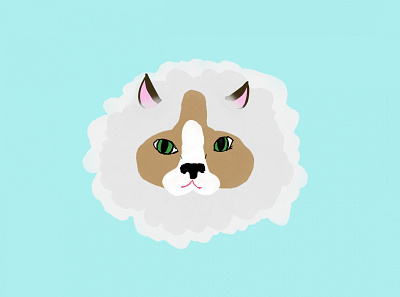 Ragdoll Cat Head cat cute illustration simple