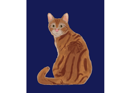 Ginger Cat animal blue cat cute feline fur illustration nature sit sitting