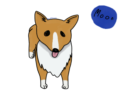 Moon the Corgi animal corgi cute dog illustration nature pembroke welsh corgi simple