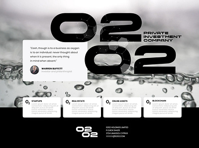 Investment company Web Design branding design graphic design illustration interface landing page ui ux web website