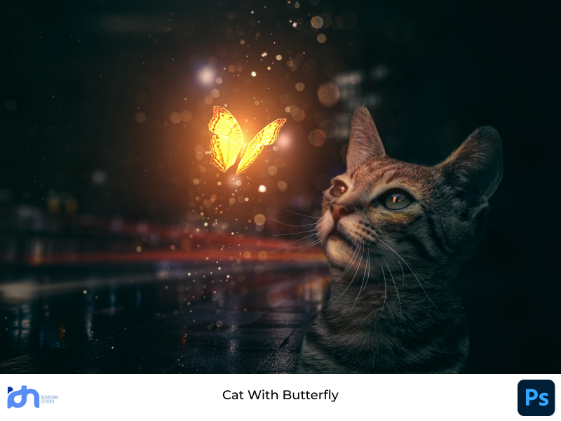 Cat With Butterfly Manipulation by bagas haidar on Dribbble