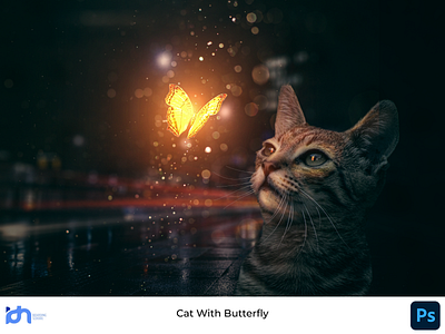 Cat With Butterfly Manipulation graphic design