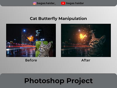 Cat Butterfly Manipulation ( Before After ) graphic design