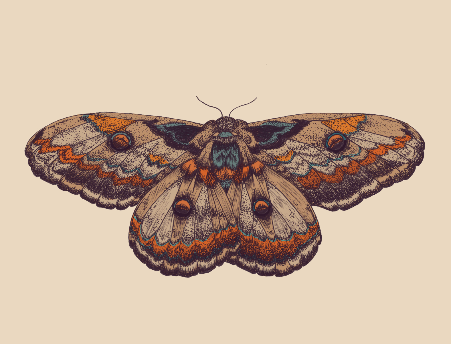 Emperor Moth - Print Witchery