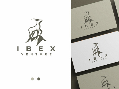 Ibex Venture