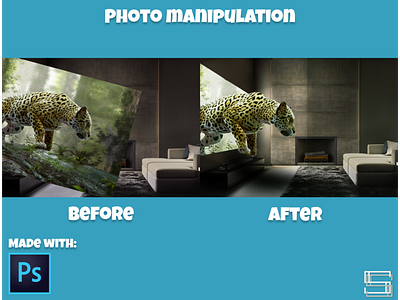 Photo manipulation