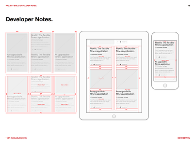Dev Notes documentation illustrator ios process style guide wireframe