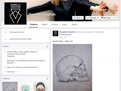 Danielle Crayfish FB artist drawing facebook fun page graphics painting photography