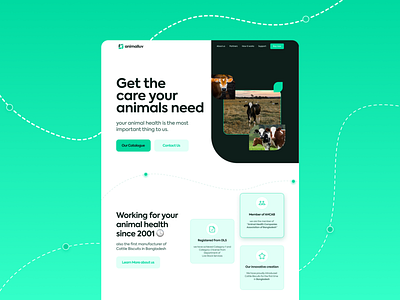 Animal Healthcare - Minimal Landing design minimal web landing age ui web ui design