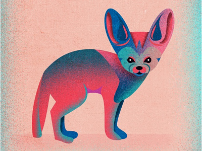 Fennec Fox color cute ears fox nature texture vector